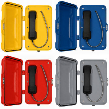 PT101-CB Autodial Outdoor Phone
