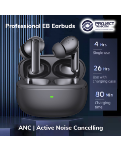 Professional EB Wireless Bluetooth Earbuds - Black